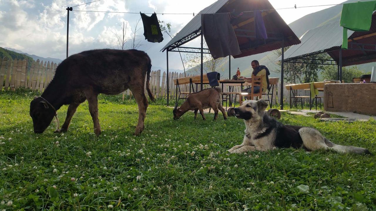 Guesthouse Angelina Ushguli ภายนอก รูปภาพ