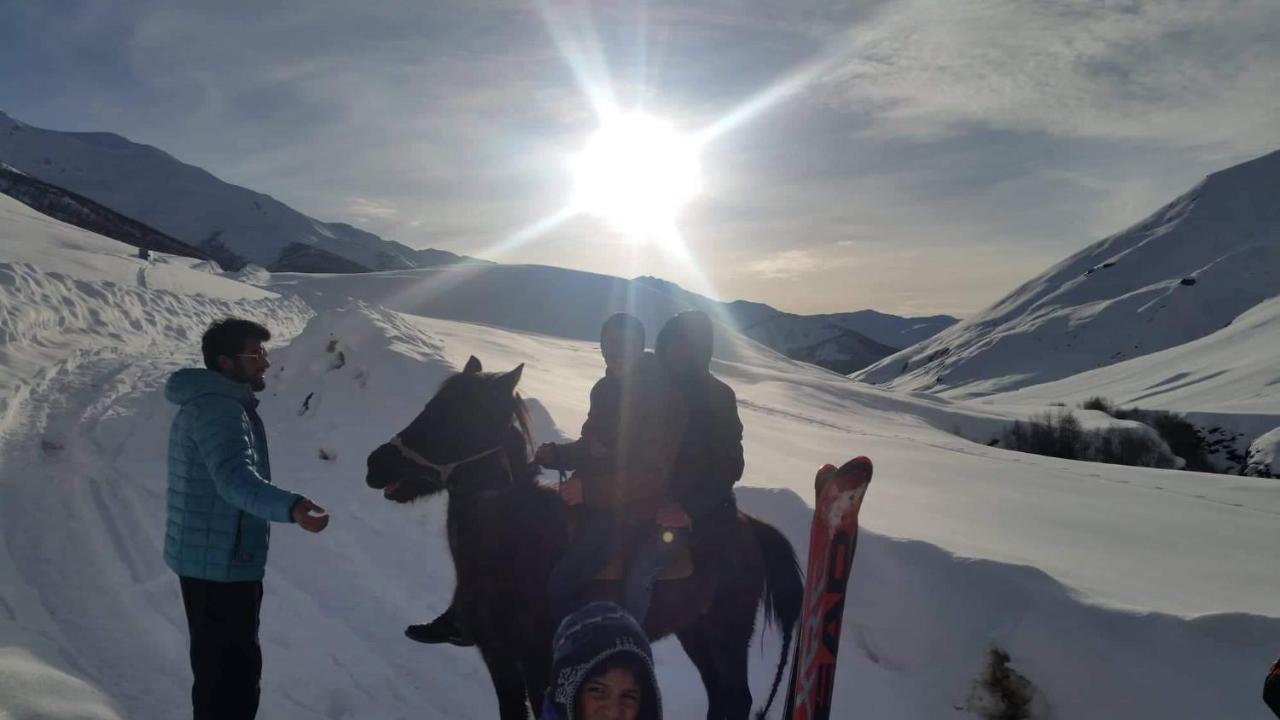 Guesthouse Angelina Ushguli ภายนอก รูปภาพ